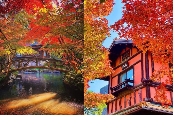 日本紅葉2022 日本旅遊賞楓懶人包 拍拖景點 紅葉打卡攻略